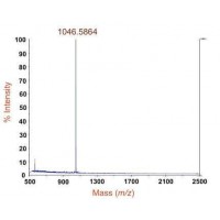 蛋白質(zhì)分子量測定_質(zhì)譜分析_百泰派克生物